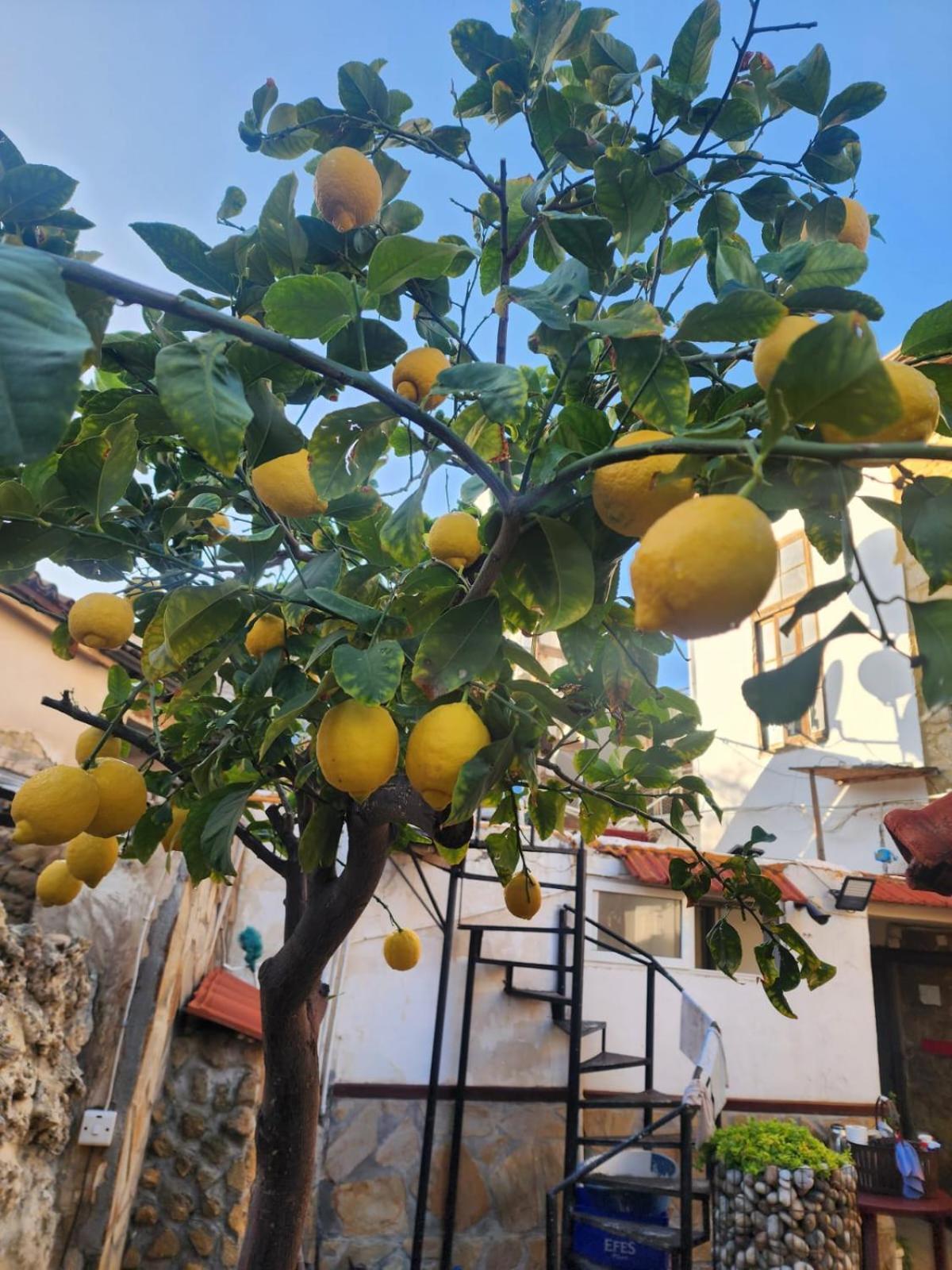 Aksaray Boutique Hotel Nicosia Exterior foto