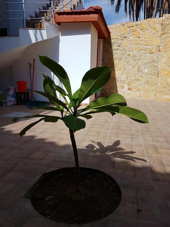 Aksaray Boutique Hotel Nicosia Exterior foto
